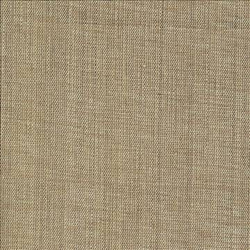 Genghis Cafe by Kasmir Fabric 1378 89% Viscose 11% Silk INDIA 15,000 Wyzenbeek Double Rubs H: N/A, V: N/A 54 - Fabric Carolina - Kasmir