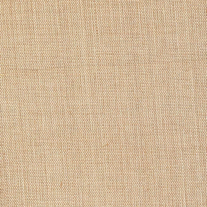 Genghis Camel by Kasmir Fabric 1378 89% Viscose
11% Silk
 INDIA 15,000 Wyzenbeek Double Rubs Horizontal: N/A and Vertical: N/A 54 - Fabric Carolina -