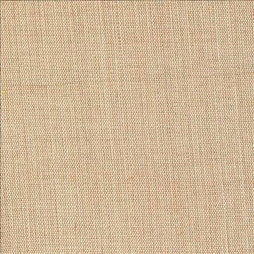 Genghis Camel by Kasmir Fabric 1378 89% Viscose 11% Silk INDIA 15,000 Wyzenbeek Double Rubs H: N/A, V: N/A 54 - Fabric Carolina - Kasmir