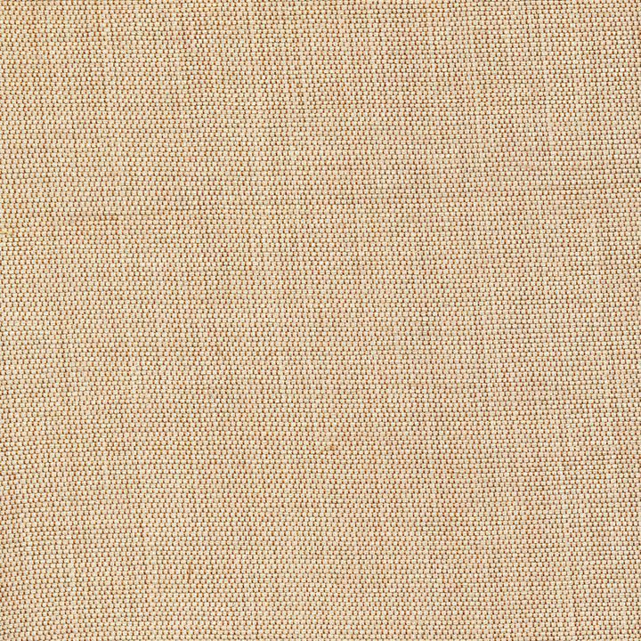 Genghis Camel by Kasmir Fabric 1378 89% Viscose 11% Silk INDIA 15,000 Wyzenbeek Double Rubs H: N/A, V:N/A 54 - Fabric Carolina - Kasmir