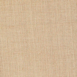 Genghis Camel by Kasmir Fabric