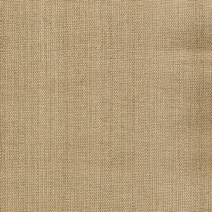Genghis Cashew by Kasmir Fabric 1378 89% Viscose
11% Silk
 INDIA 15,000 Wyzenbeek Double Rubs </p><p>Repeat: Horizontal: N/A and Vertical: N/A 54 - Fabric Carolina -
