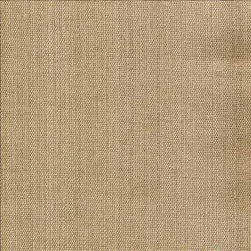Genghis Cashew by Kasmir Fabric 1378 89% Viscose 11% Silk INDIA 15,000 Wyzenbeek Double Rubs H: N/A, V: N/A 54 - Fabric Carolina - Kasmir