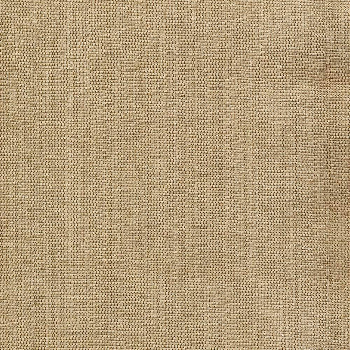Genghis Cashew by Kasmir Fabric 1378 89% Viscose 11% Silk INDIA 15,000 Wyzenbeek Double Rubs H: N/A, V:N/A 54 - Fabric Carolina - Kasmir