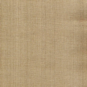 Genghis Cashew by Kasmir Fabric