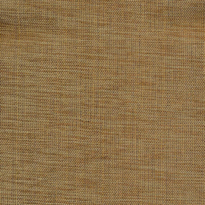 Genghis Chestnut by Kasmir Fabric 1378 89% Viscose
11% Silk
 INDIA 15,000 Wyzenbeek Double Rubs </p><p>Repeat: Horizontal: N/A and Vertical: N/A 54 - Fabric Carolina -