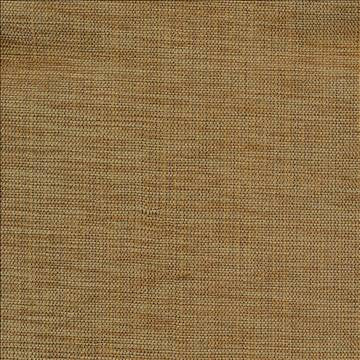 Genghis Chestnut by Kasmir Fabric 1378 89% Viscose 11% Silk INDIA 15,000 Wyzenbeek Double Rubs H: N/A, V: N/A 54 - Fabric Carolina - Kasmir