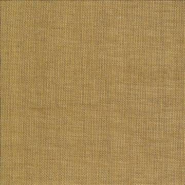 Genghis Cider by Kasmir Fabric 1378 89% Viscose 11% Silk INDIA 15,000 Wyzenbeek Double Rubs H: N/A, V: N/A 54 - Fabric Carolina - Kasmir
