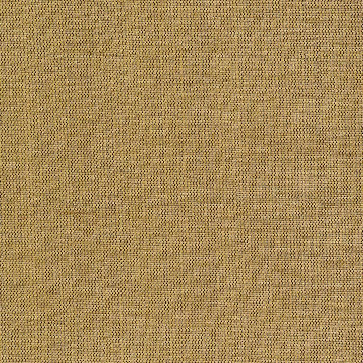 Genghis Cider by Kasmir Fabric 1378 89% Viscose 11% Silk INDIA 15,000 Wyzenbeek Double Rubs H: N/A, V:N/A 54 - Fabric Carolina - Kasmir
