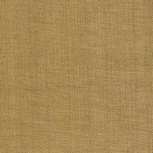 Genghis Cider by Kasmir Fabric