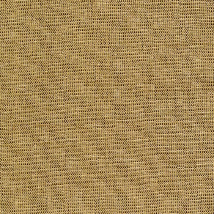 Genghis Cider by Kasmir Fabric 1378 89% Viscose
11% Silk
 INDIA 15,000 Wyzenbeek Double Rubs </p><p>Repeat: Horizontal: N/A and Vertical: N/A 54 - Fabric Carolina -