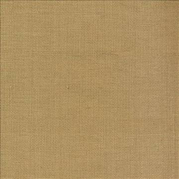 Genghis Coin by Kasmir Fabric 1378 89% Viscose 11% Silk INDIA 15,000 Wyzenbeek Double Rubs H: N/A, V: N/A 54 - Fabric Carolina - Kasmir