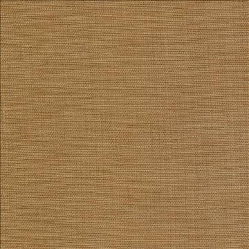 Genghis Earthbrown by Kasmir Fabric 1378 89% Viscose 11% Silk INDIA 15,000 Wyzenbeek Double Rubs H: N/A, V: N/A 54 - Fabric Carolina - Kasmir