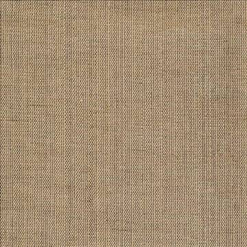 Genghis Fog by Kasmir Fabric 1378 89% Viscose 11% Silk INDIA 15,000 Wyzenbeek Double Rubs H: N/A, V: N/A 54 - Fabric Carolina - Kasmir