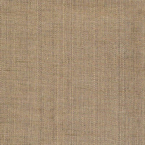 Genghis Fog by Kasmir Fabric