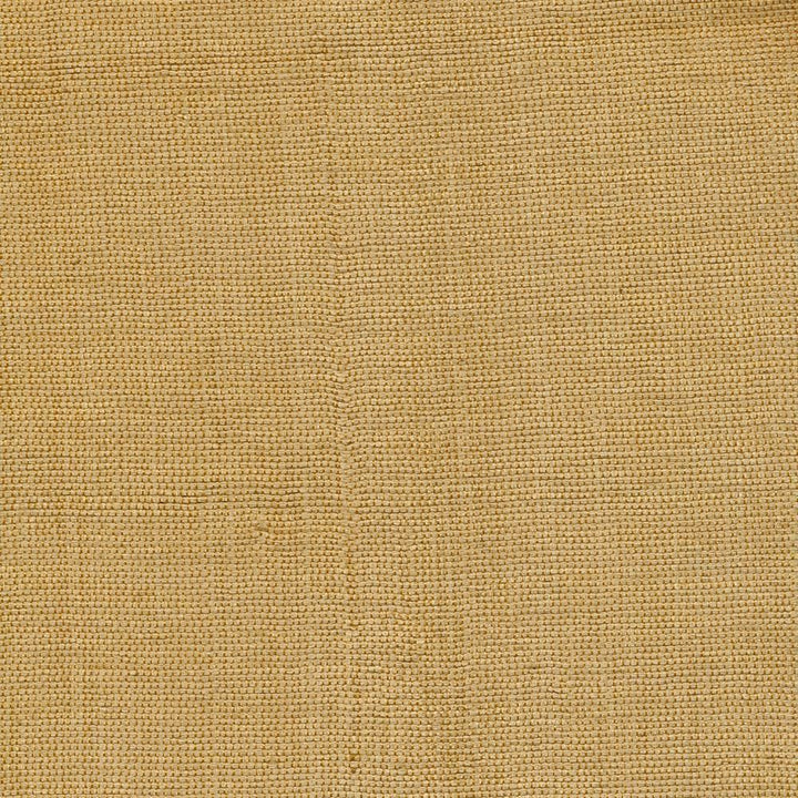 Genghis Gold by Kasmir Fabric 1378 89% Viscose
11% Silk
 INDIA </p><p>Repeat: Horizontal: N/A and Vertical: N/A 54 - Fabric Carolina -