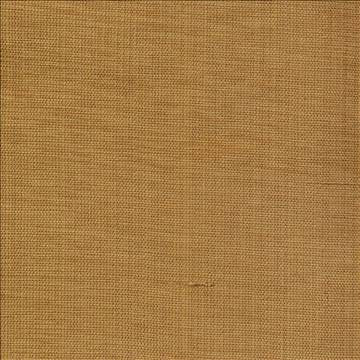 Genghis Harvest by Kasmir Fabric 1378 89% Viscose 11% Silk INDIA 15,000 Wyzenbeek Double Rubs H: N/A, V: N/A 54 - Fabric Carolina - Kasmir