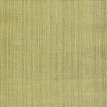 Genghis Leaf by Kasmir Fabric 1378 89% Viscose 11% Silk INDIA 15,000 Wyzenbeek Double Rubs H: N/A, V: N/A 54 - Fabric Carolina - Kasmir