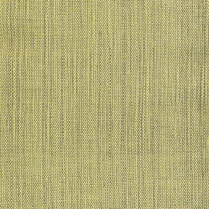 Genghis Leaf by Kasmir Fabric 1378 89% Viscose
11% Silk
 INDIA </p><p>Repeat: Horizontal: N/A and Vertical: N/A 54 - Fabric Carolina -