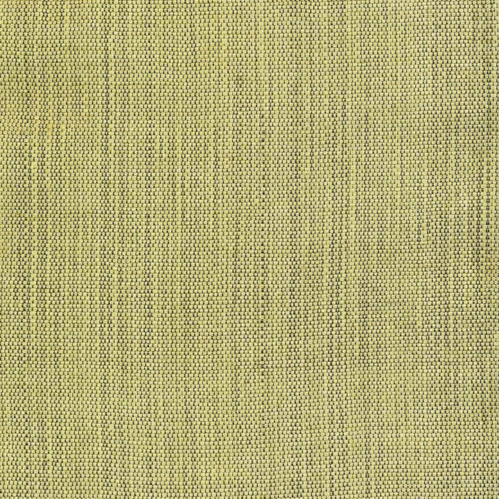 Genghis Leaf by Kasmir Fabric 1378 89% Viscose 11% Silk INDIA 15,000 Wyzenbeek Double Rubs H: N/A, V:N/A 54 - Fabric Carolina - Kasmir