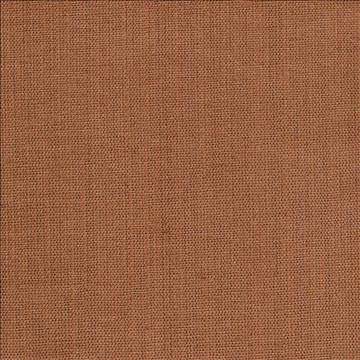 Genghis Mahogany by Kasmir Fabric 1378 89% Viscose 11% Silk INDIA 15,000 Wyzenbeek Double Rubs H: N/A, V: N/A 54 - Fabric Carolina - Kasmir