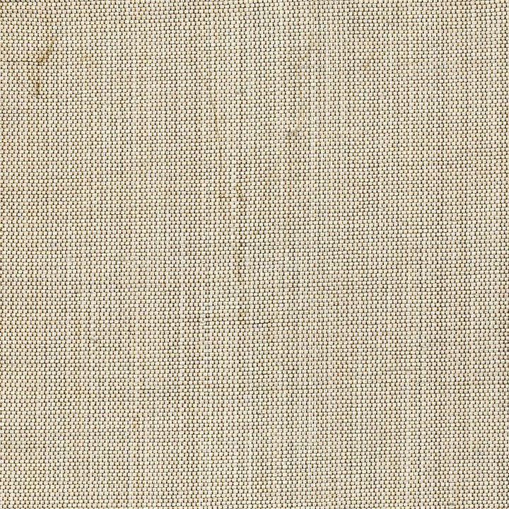 Genghis Mist by Kasmir Fabric 1378 89% Viscose
11% Silk
 INDIA </p><p>Repeat: Horizontal: N/A and Vertical: N/A 54 - Fabric Carolina -