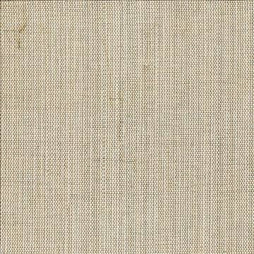 Genghis Mist by Kasmir Fabric 1378 89% Viscose 11% Silk INDIA 15,000 Wyzenbeek Double Rubs H: N/A, V: N/A 54 - Fabric Carolina - Kasmir