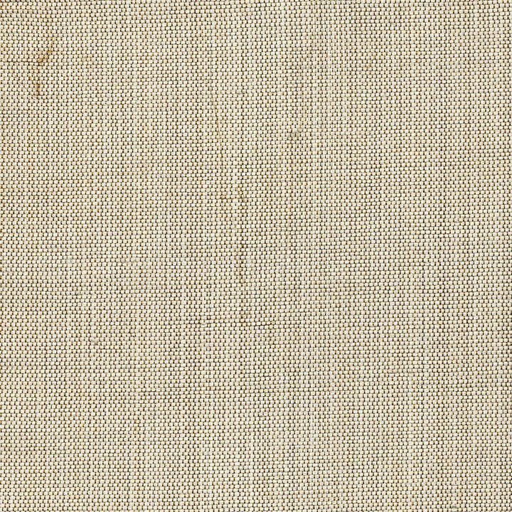 Genghis Mist by Kasmir Fabric 1378 89% Viscose 11% Silk INDIA 15,000 Wyzenbeek Double Rubs H: N/A, V:N/A 54 - Fabric Carolina - Kasmir