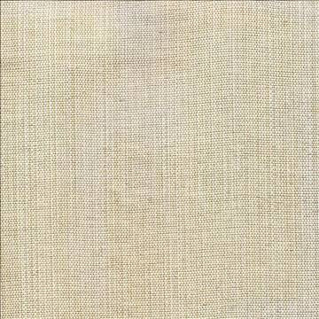 Genghis Natural by Kasmir Fabric 1378 89% Viscose 11% Silk INDIA 15,000 Wyzenbeek Double Rubs H: N/A, V: N/A 54 - Fabric Carolina - Kasmir