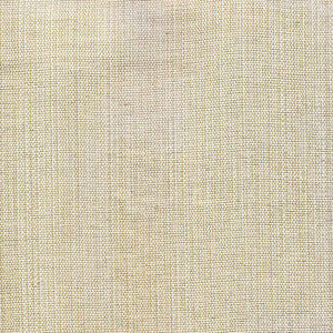 Genghis Natural by Kasmir Fabric