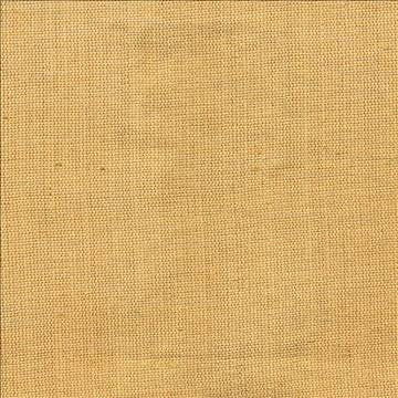 Genghis Old Gold by Kasmir Fabric 1378 89% Viscose 11% Silk INDIA 15,000 Wyzenbeek Double Rubs H: N/A, V: N/A 54 - Fabric Carolina - Kasmir
