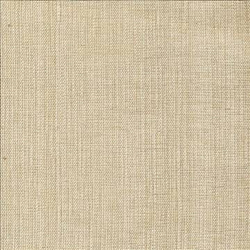Genghis Oyster by Kasmir Fabric 1378 89% Viscose 11% Silk INDIA 15,000 Wyzenbeek Double Rubs H: N/A, V: N/A 54 - Fabric Carolina - Kasmir
