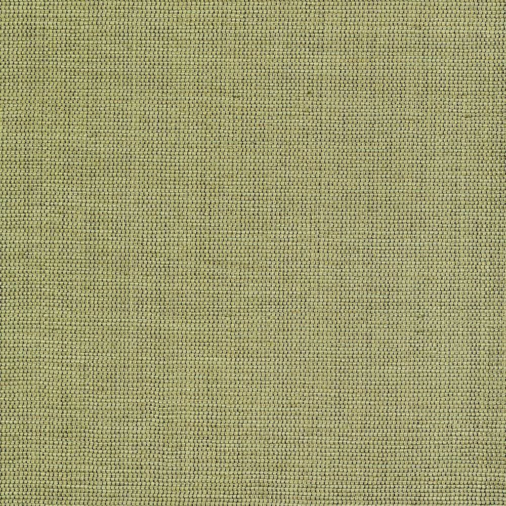Genghis Palm by Kasmir Fabric 1378 89% Viscose
11% Silk
 INDIA </p><p>Repeat: Horizontal: N/A and Vertical: N/A 54 - Fabric Carolina -