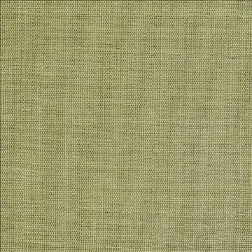 Genghis Palm by Kasmir Fabric 1378 89% Viscose 11% Silk INDIA 15,000 Wyzenbeek Double Rubs H: N/A, V: N/A 54 - Fabric Carolina - Kasmir