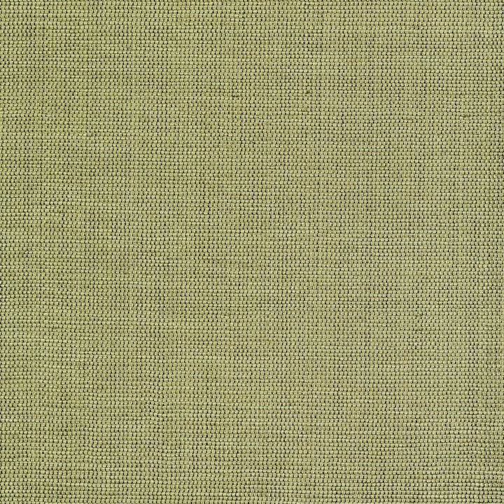 Genghis Palm by Kasmir Fabric 1378 89% Viscose
11% Silk
 INDIA </p><p>Repeat: Horizontal: N/A and Vertical: N/A 54 - Fabric Carolina -