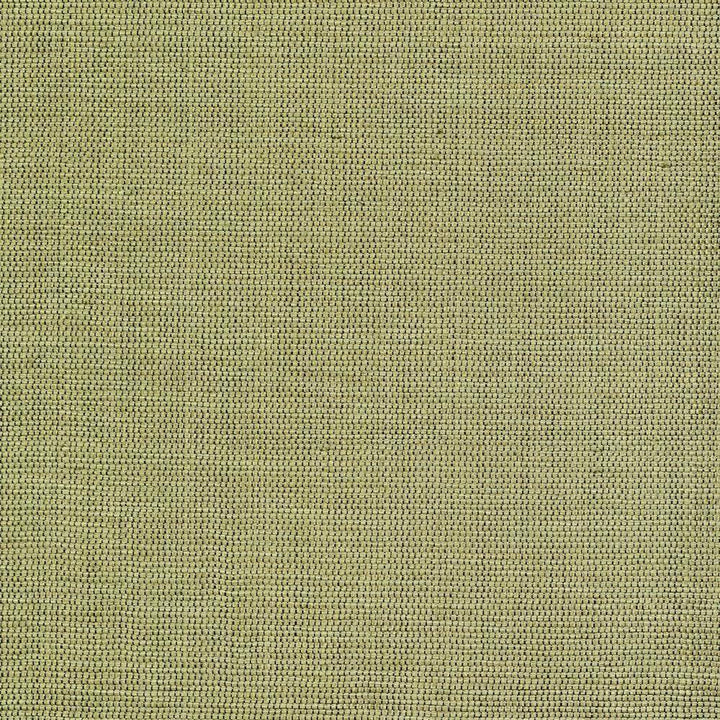 Genghis Palm by Kasmir Fabric 1378 89% Viscose 11% Silk INDIA 15,000 Wyzenbeek Double Rubs H: N/A, V:N/A 54 - Fabric Carolina - Kasmir