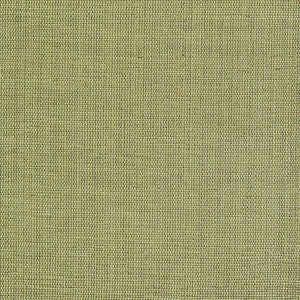 Genghis Palm by Kasmir Fabric