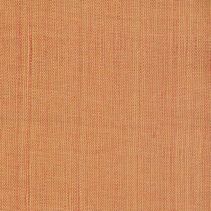 Genghis Paprika  by Kasmir Fabric See sample 89% Viscose
11% Silk
 INDIA 15,000 Wyzenbeek Double Rubs </p><p>Repeat: Horizontal: N/A and Vertical: N/A 54  - Fabric Carolina -