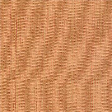 Genghis Paprika by Kasmir Fabric 1378 89% Viscose 11% Silk INDIA 15,000 Wyzenbeek Double Rubs H: N/A, V: N/A 54 - Fabric Carolina - Kasmir