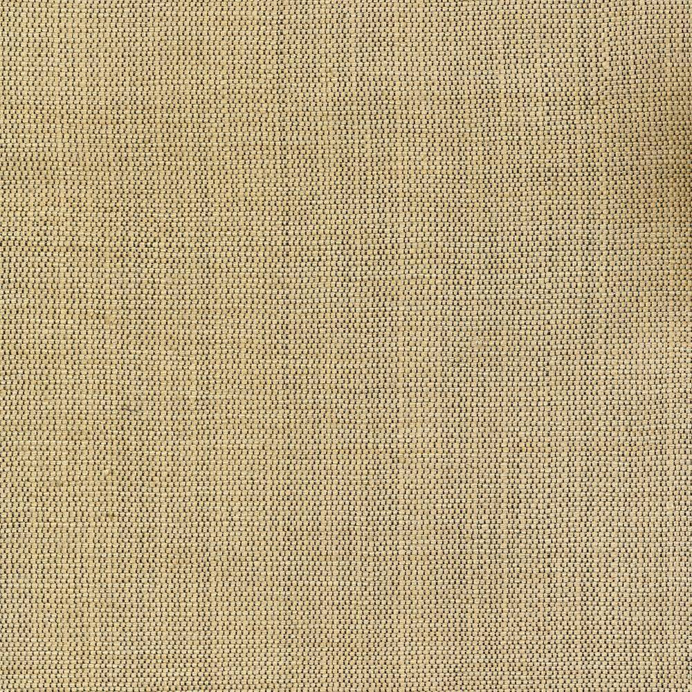 Genghis Raffia by Kasmir Fabric 1378 89% Viscose 11% Silk INDIA 15,000 Wyzenbeek Double Rubs H: N/A, V:N/A 54 - Fabric Carolina - Kasmir