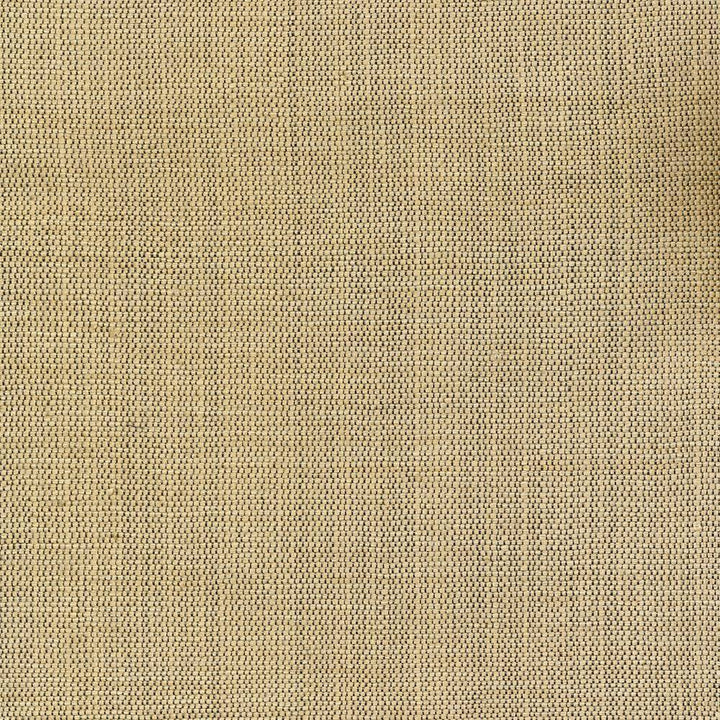 Genghis Raffia by Kasmir Fabric 1378 89% Viscose 11% Silk INDIA 15,000 Wyzenbeek Double Rubs H: N/A, V:N/A 54 - Fabric Carolina - Kasmir