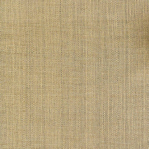 Genghis Raffia by Kasmir Fabric