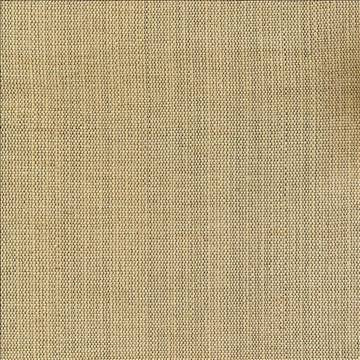 Genghis Raffia by Kasmir Fabric 1378 89% Viscose 11% Silk INDIA 15,000 Wyzenbeek Double Rubs H: N/A, V: N/A 54 - Fabric Carolina - Kasmir