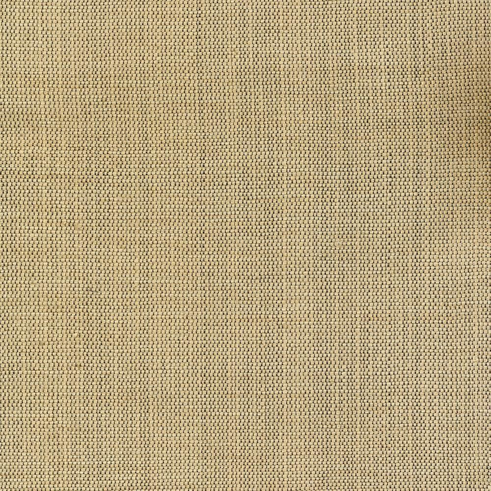 Genghis Raffia by Kasmir Fabric 1378 89% Viscose 11% Silk INDIA 15,000 Wyzenbeek Double Rubs Horizontal: 0 Inches and Vertical: 0 Inches 54 - Fabric Carolina -