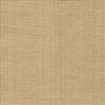 Genghis Rye by Kasmir Fabric 1378 89% Viscose 11% Silk INDIA 15,000 Wyzenbeek Double Rubs H: N/A, V: N/A 54 - Fabric Carolina - Kasmir