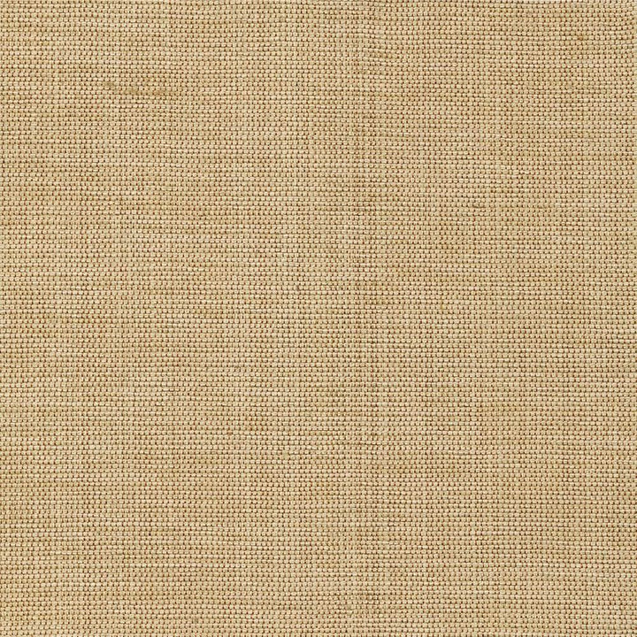Genghis Rye by Kasmir Fabric 1378 89% Viscose
11% Silk
 INDIA 15,000 Wyzenbeek Double Rubs Horizontal: N/A and Vertical: N/A 54 - Fabric Carolina -