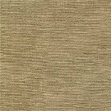 Genghis Safari by Kasmir Fabric 1378 89% Viscose 11% Silk INDIA 15,000 Wyzenbeek Double Rubs H: N/A, V: N/A 54 - Fabric Carolina - Kasmir