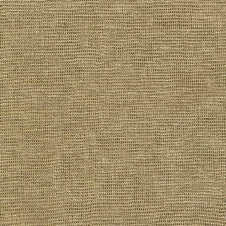 Genghis Safari by Kasmir Fabric 1378 89% Viscose 11% Silk INDIA 15,000 Wyzenbeek Double Rubs H: N/A, V:N/A 54 - Fabric Carolina - Kasmir