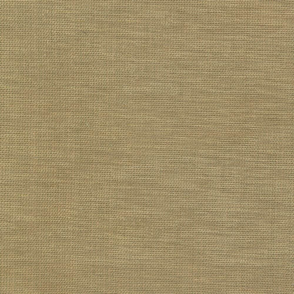 Genghis Safari by Kasmir Fabric 1378 89% Viscose
11% Silk
 INDIA 15,000 Wyzenbeek Double Rubs Horizontal: N/A and Vertical: N/A 54 - Fabric Carolina -