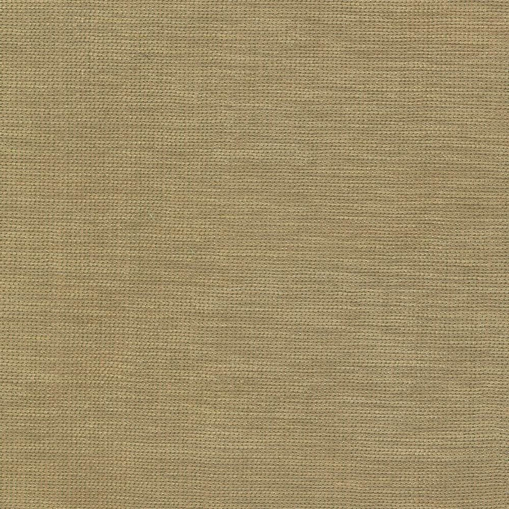 Genghis Safari by Kasmir Fabric 1378 89% Viscose
11% Silk
 INDIA </p><p>Repeat: Horizontal: N/A and Vertical: N/A 54 - Fabric Carolina -
